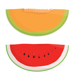 Slice of orange cantaloupe melon and watermelon