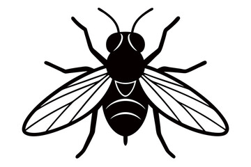 Create insect icon line art Vector Art Illustration