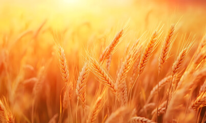 Stunning Nature Landscapes: Mountains, Forests, Oceans, and Serene Vistas.