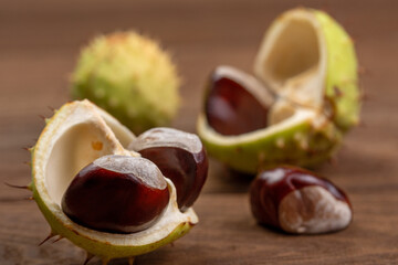 Fresh shiny chestnuts on a wooden table. Close up.