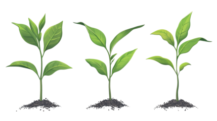 A fresh vector set of green leaf icons, tailored for environmental labels on a transparent background