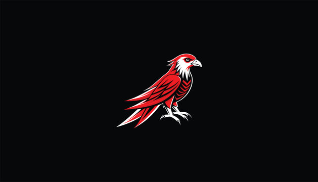 recommend clip art: "Realistic Vector Image of a Red Kite in Flight, Circular Design, Black Background, White Outline, Detailed Bird of Prey Art"