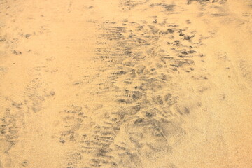 Atlantic ocean beach sand texture at Fuerteventura. Black and yellow sand