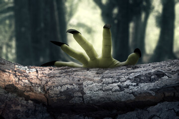Witch hand with long nail claw reaching out from a wooden log. Scene is scary and creepy. The hand...