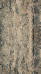 Wooden surface with grainy texture appearance. The wood appears to be aged and weathered. Mockup. Copy Space