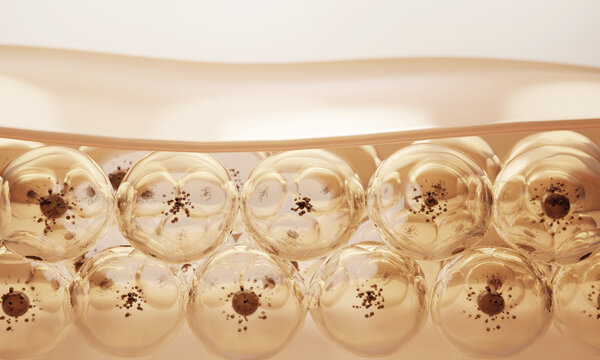 collagen and vitamin under skin cell. serum through the skin layer and reduce up saggy skin of the skin cell. 3d rendering.	