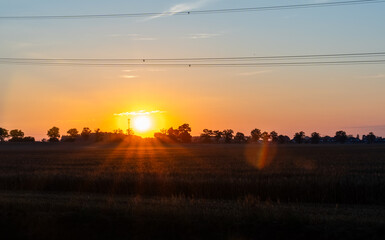 Fototapety na wymiar - Fototapeta24.pl