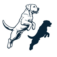 Labrador Retriever jumping pose vector outlines silhouettes on white background, neat and clean vector silhouettes for your design