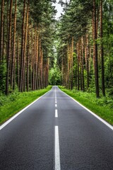 Fototapeta premium Serene tree-lined road stretching through lush green forest under soft sunlight in summer