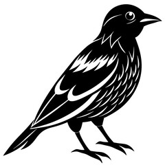 Fototapeta premium animal vector icon