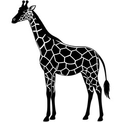 Obraz premium animal icon vector