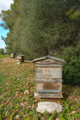 A single beehive in a natural setting with surrounding trees, bee hive in the countryside, beekeeping, nature concept in mallorca, spain balearic islands