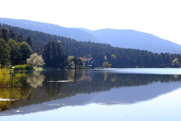Fototapeta premium Villa by the lake. Golcuk - Bolu, Turkey