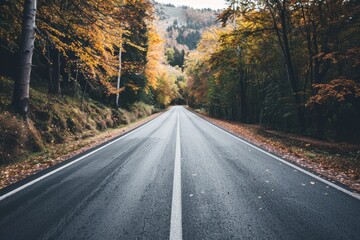 Fototapeta premium A winding road stretches forward, flanked by vibrant autumn trees under a misty sky, inviting exploration and adventure.