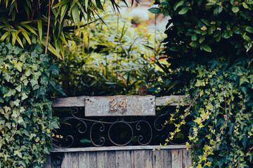 robin perched on a gate