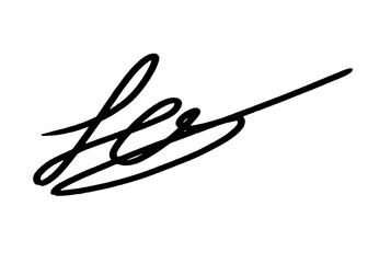A stylish signature design created with a continuous line
