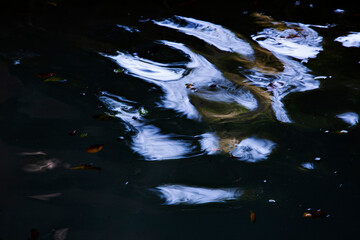 reflejos claros con formas y diseño sobre el agua de un estanque con el fondo color oscuro