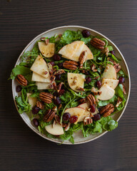 Fall Salad with Arugula, Apples, Cranberries, and Pecans - Close-Up