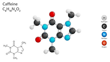 Molecule of Caffeine (C8H10N4O2) is a natural stimulant found in coffee, tea, and various energy drinks. It enhances alertness and reduces fatigue. 3d illustration. White background