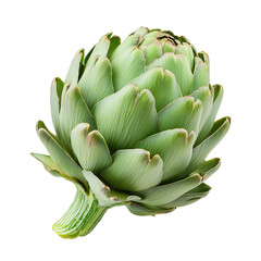 Fototapeta premium Fresh Artichoke isolated on transparent background