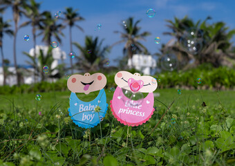 It's a boy and it's a girl baby written text announcement on the signboard . little princess and baby boy written text announcement on the signboard