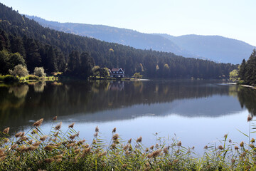 Villa by the lake. Golcuk - Bolu, Turkey