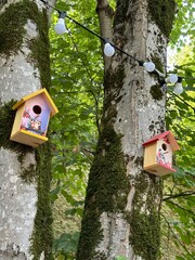 bird house on a tree