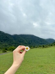 hand holding a flower
