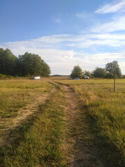 Obraz premium A serene country path leading into a lush green field under a blue sky on a sunny afternoon