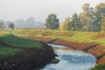 Rzeka Wapienica o poranku w Czechowicach Dziedzicach. © Elżbieta Kaps