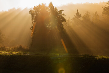 Jesienny mglisty poranek, promienie słońca, jesienna tło tapeta.  © Elżbieta Kaps