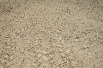 The land dried out due to drought