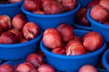 nectarines rouges dans des bassines bleues sur un étal de marché en été. Contraste de couleurs