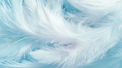   White feathers on a blue and white background appear in sharp focus in this close-up view, evoking images from a magical realm