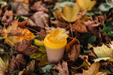 coffee in a cardboard cup on autumn leaves