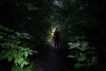 walking in the woods