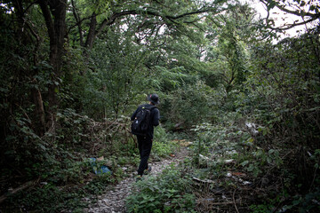 person walking in the woods