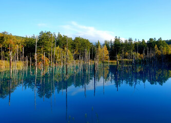 青い池　北海道