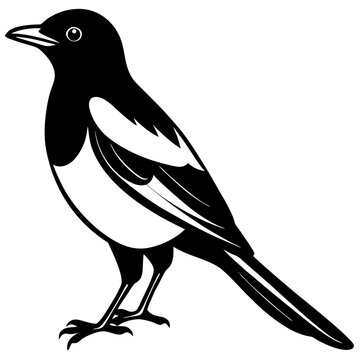 recommend clip art: magpie bird logo