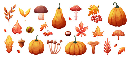 Autumn fall set with dry leaves, pumpkin and mushroom. Vector illustration