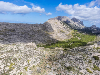 View of the Tramontana mountain range with Puig Mayor, 1445 meters, and the Son Torrella mountain range, municipality of Escorca,Mallorca, Balearic Islands, Spain