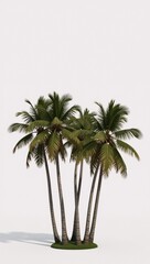 Obraz premium Isolated cluster of realistic 3D rendered coconut trees
