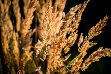 the church bathed in beautiful sunshine