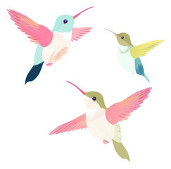 Obraz premium PNG Hummingbirds animal flying creativity.