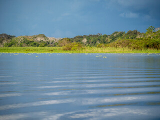 River landscape on a branch of the Amazon near the small town of Jutaí.