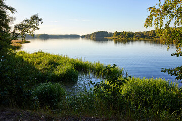 Serene Riverbank Scene with Lush Greenery