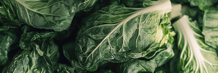 Obraz premium close up of Chinese Cabbages, full frame, food advertising