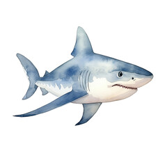 Obraz premium shark isolated on white background