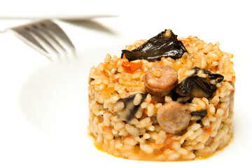Side view of rice plate with assorted mushrooms with fork in the background plate and white background