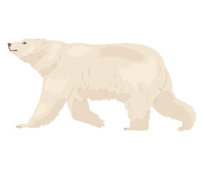 Polar bear. Inhabitant of the North Pole. Arctic fauna. Predatory animal in a natural park. Vector illustration in a flat style.